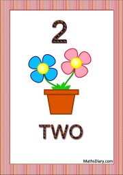 2 flowers