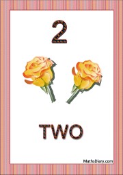 2 yellow roses