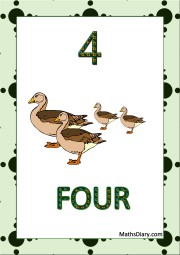 4 ducks