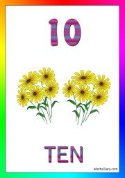 10 flowers