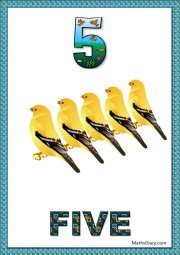 5 yellow sparrows