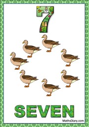7 ducks
