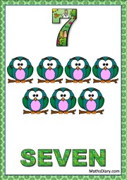 7 owls