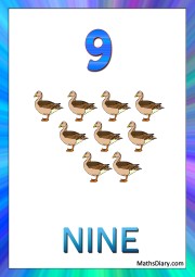 9 ducks