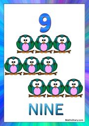 9 owls