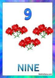 9 red roses