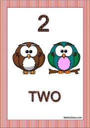 2 owls