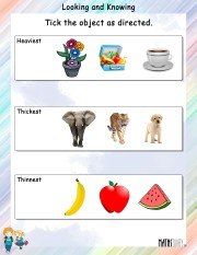 looking-and-knowing-worksheet-3